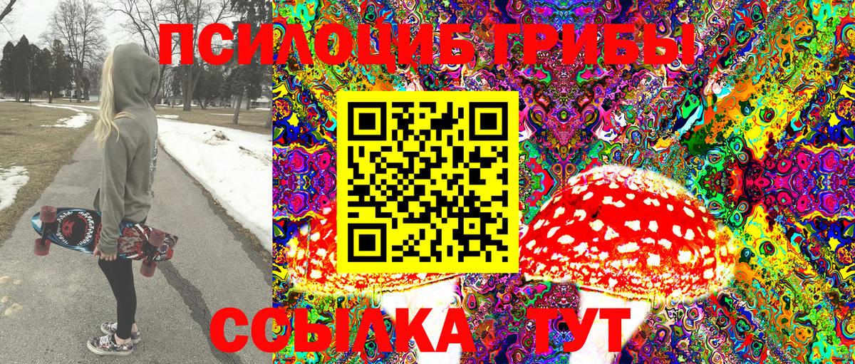 Галлюциногенные грибы мицелий  Псилоцибиновые грибы MAGIC MUSHROOMS  Ртищево  Вход с VPN 